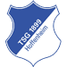 hoffenheim-logo